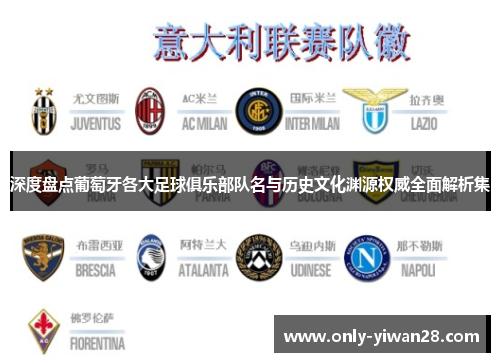 深度盘点葡萄牙各大足球俱乐部队名与历史文化渊源权威全面解析集